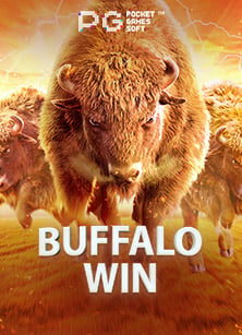 เล่นสนุกกับ slotxo เครดิต ฟรี 2020 ตลอดทั้งปี